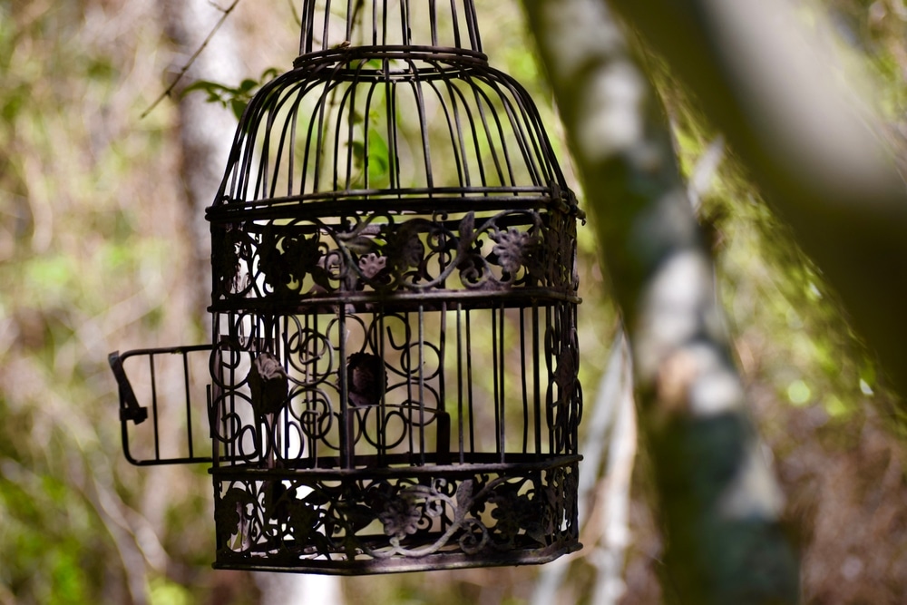Recognising the Signs of Coercive Control